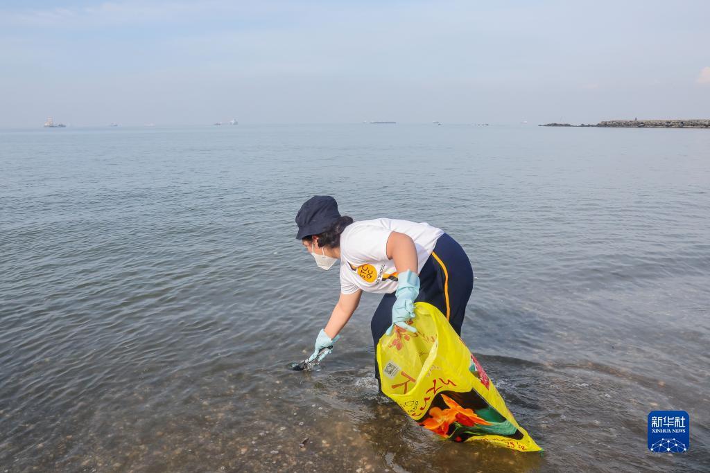 da大宝游戏下载大全